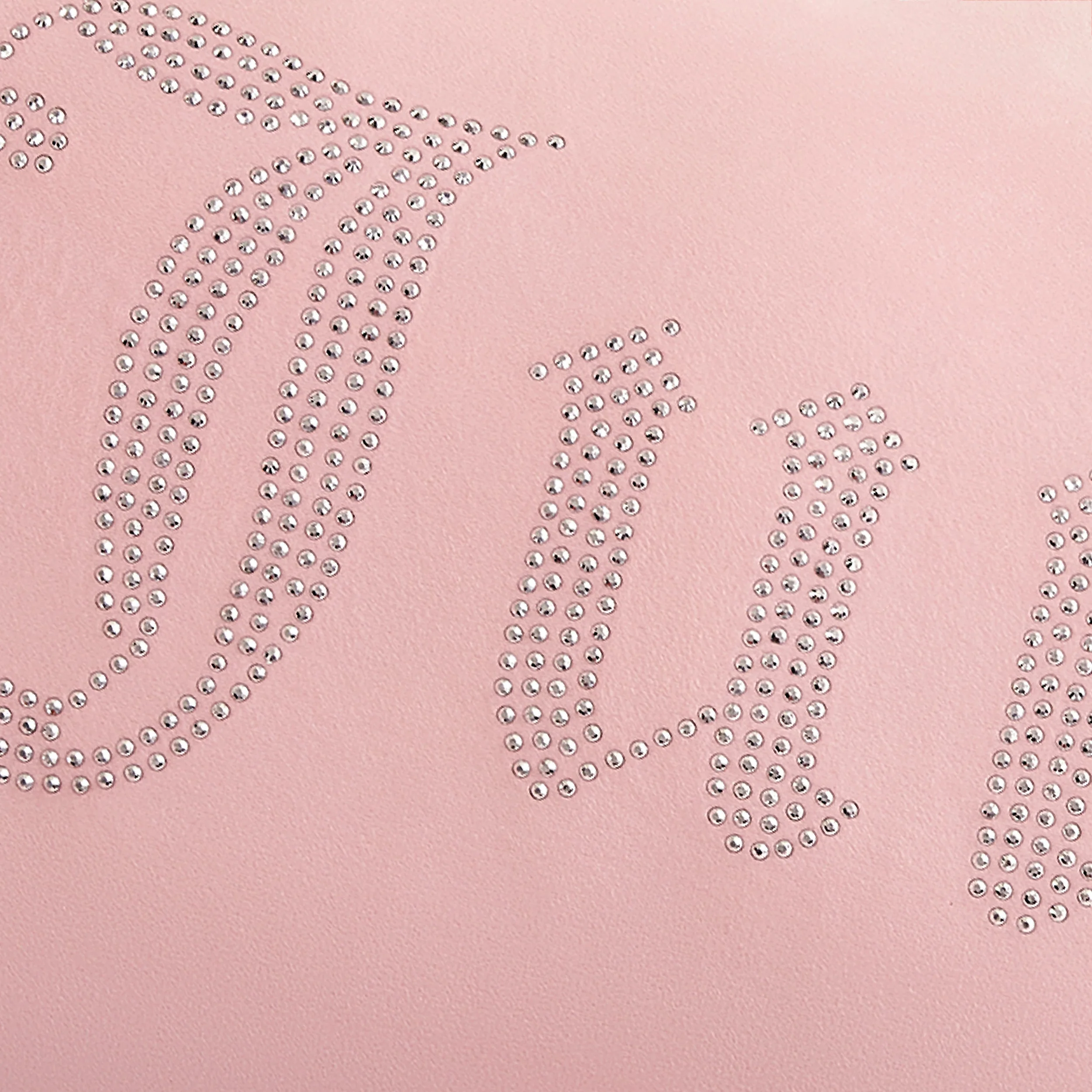 Big Bling Pillow - Image 5