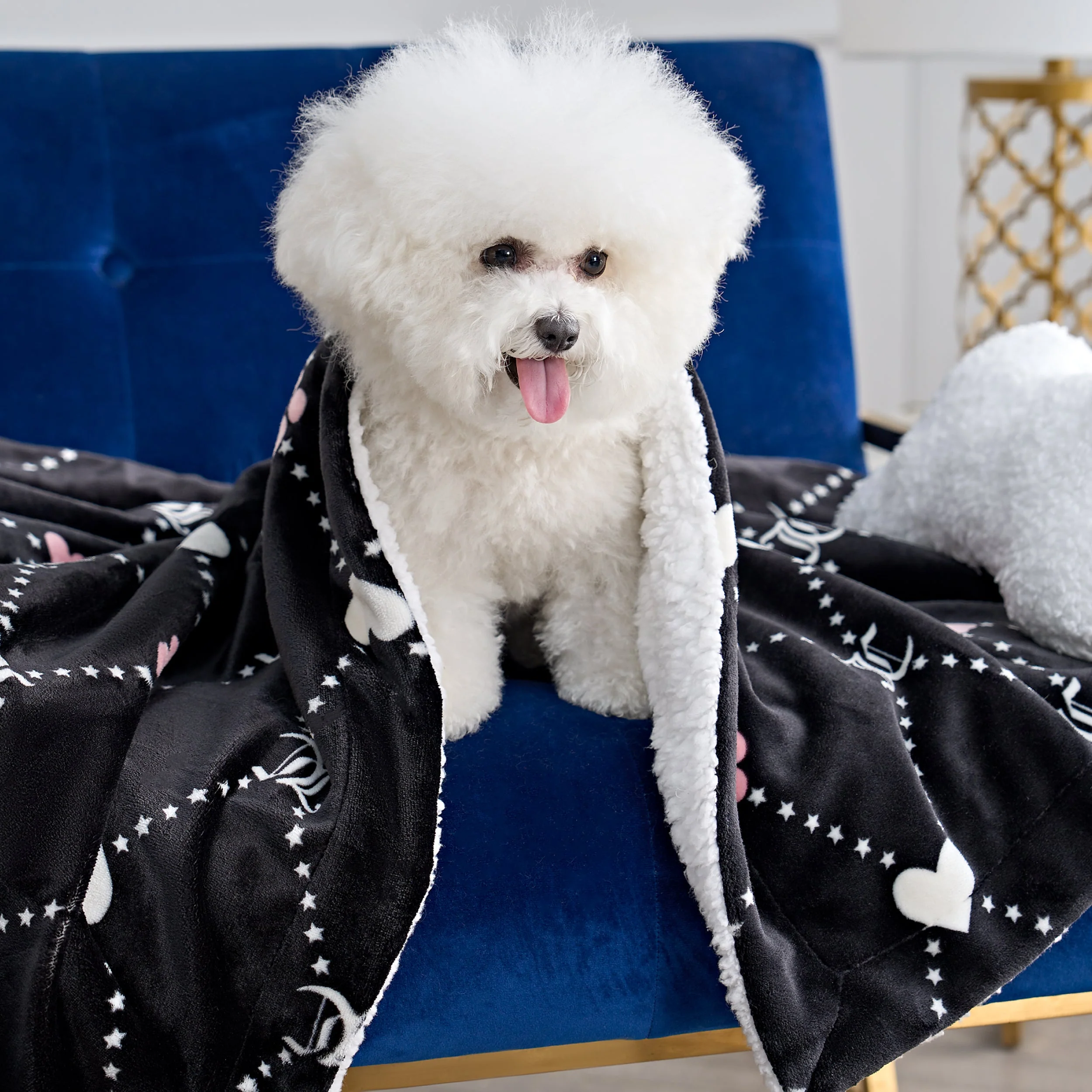 Pet Blanket & Pillow Set - Image 4