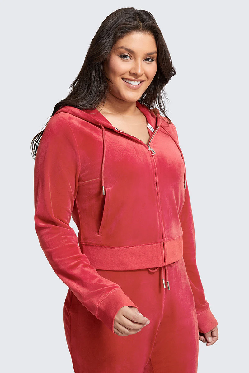 Plus-Size OG Big Bling Velour Hoodie - Image 5
