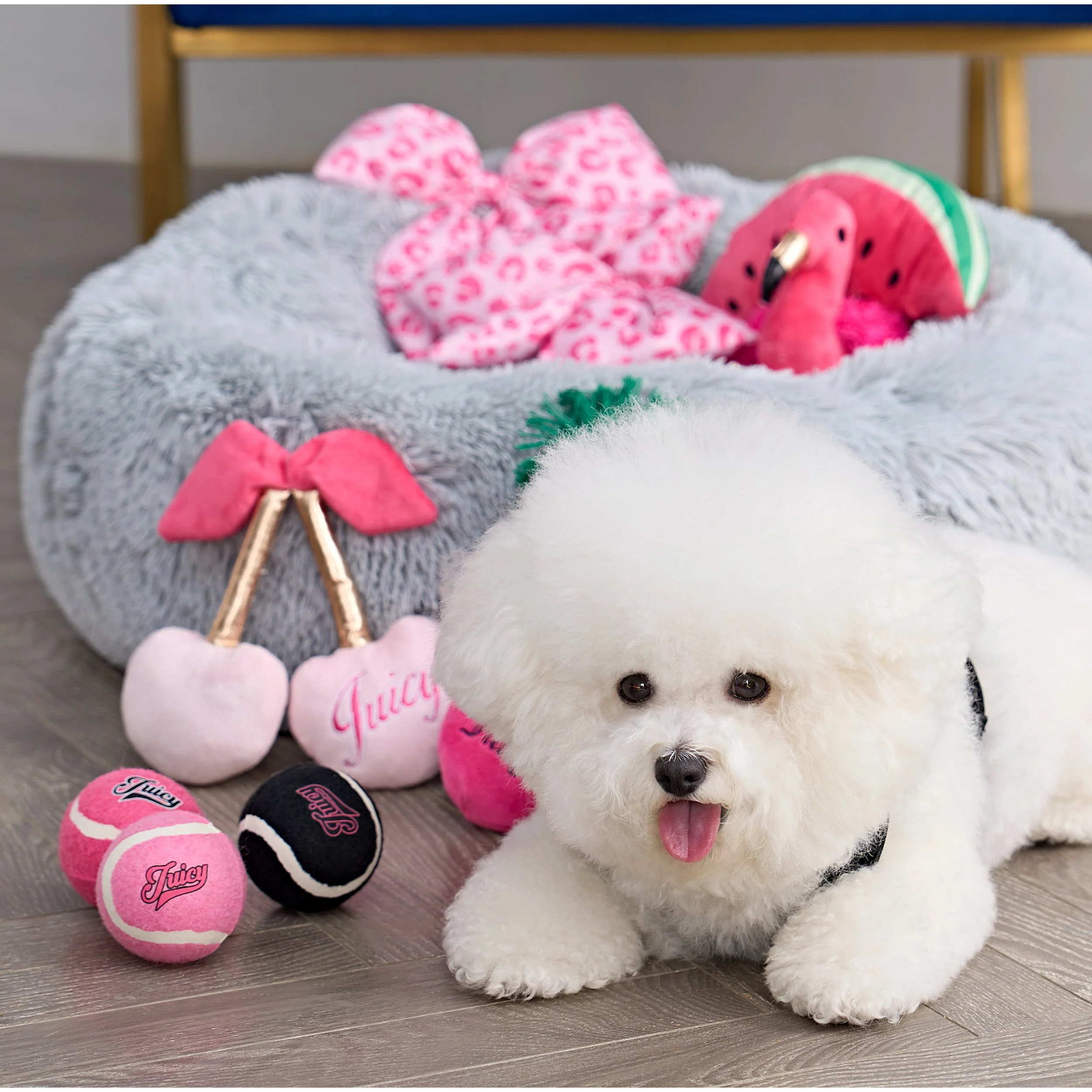 Tennis Balls For Pets - Image 2